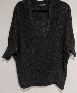 Express Deep v scoop neck sparkly sweater